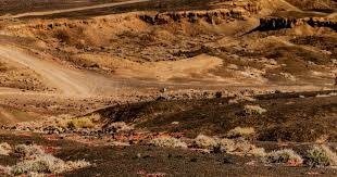 莱默尔：送出2个点球让比赛变复杂，能利用定位球让我们满意